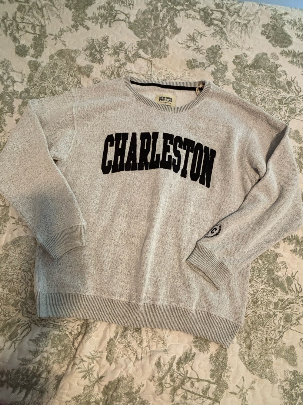 NWT New York Popular sz Large Charleston Graphic Crewneck Nantucket Soft Fleece - Picture 12 of 13